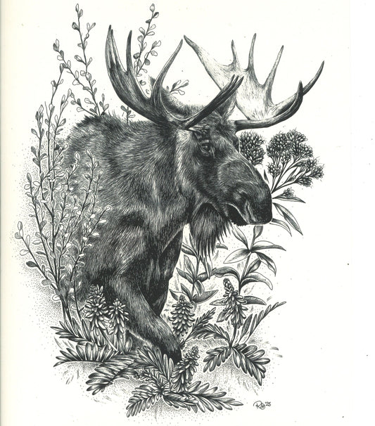 Western Moose Print