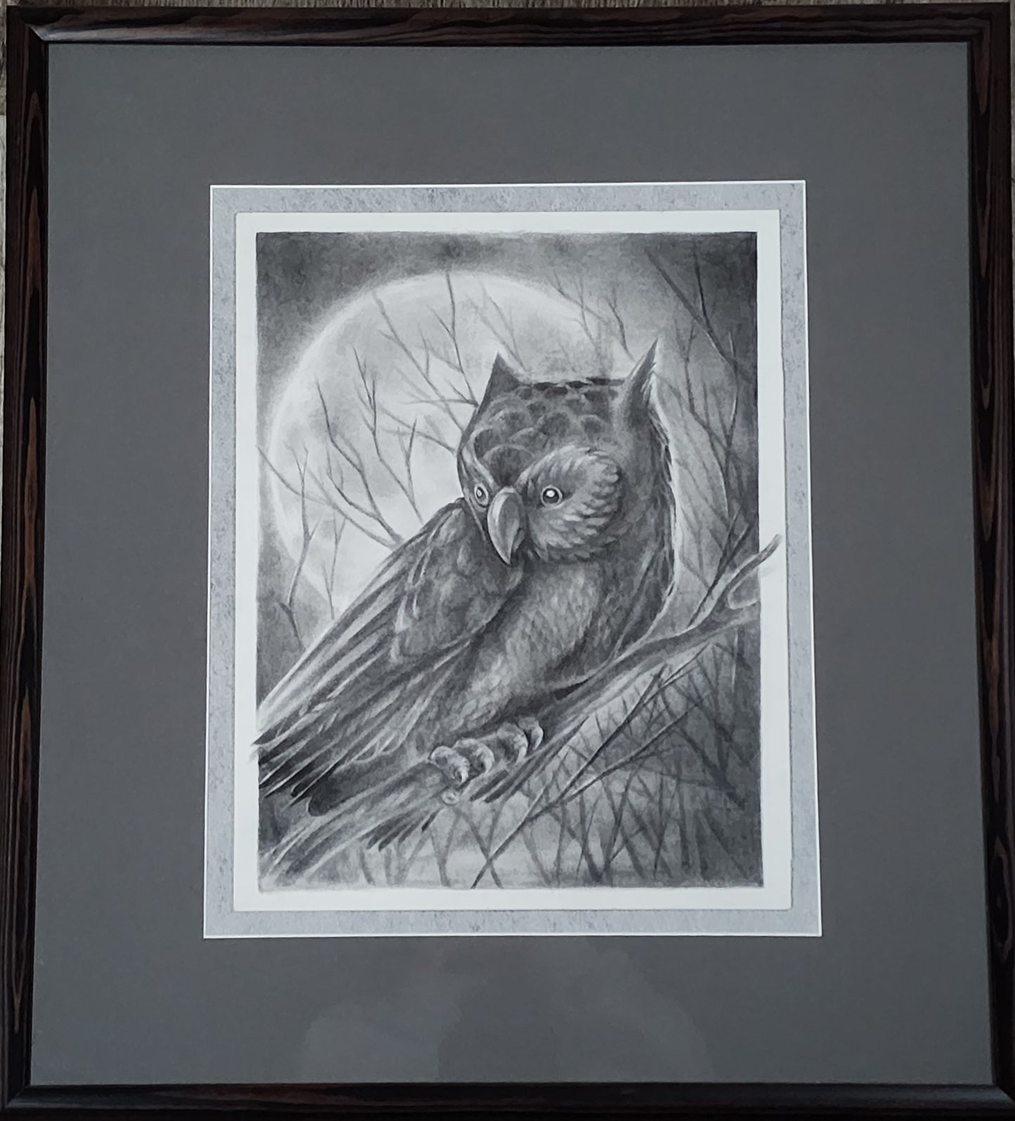 Owl Pencil Drawing Original