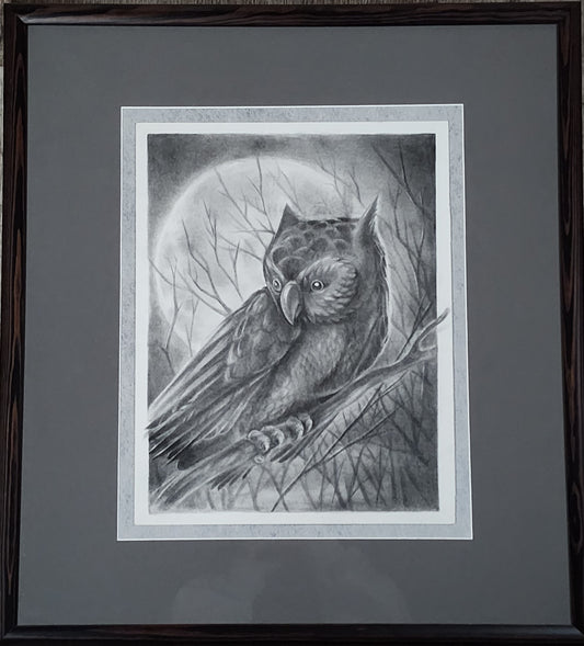 Owl Pencil Drawing Original